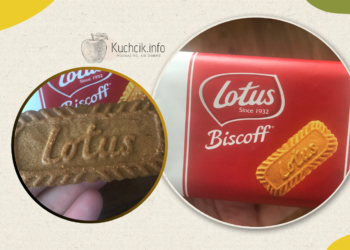 Herbatniki karmelizowane Lotus z Biedronki