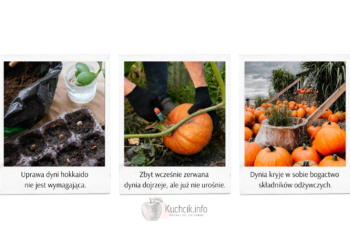 Dynia dlaczego warto jeść i samodzielnie ją uprawiać?