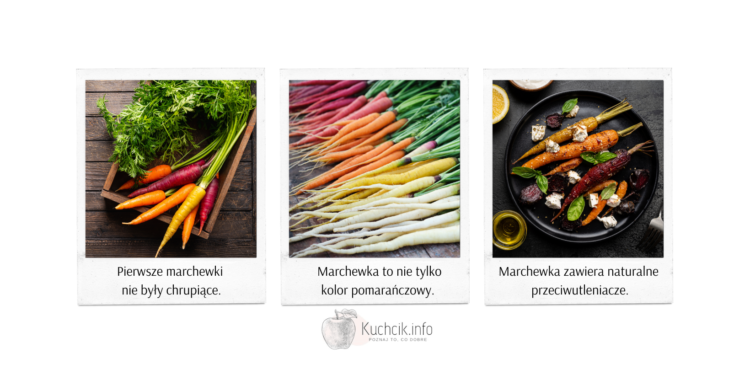 Marchewka – zdrowa i wszechstronna Królowa Kuchni