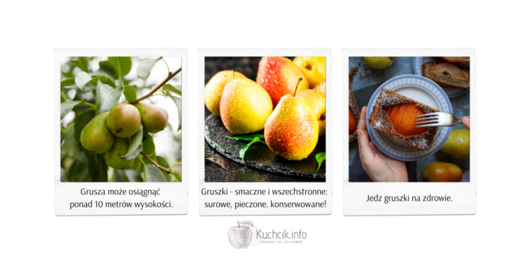 Jedz na zdrowie gruszki – 5 faktów o gruszkach, które warto znać!