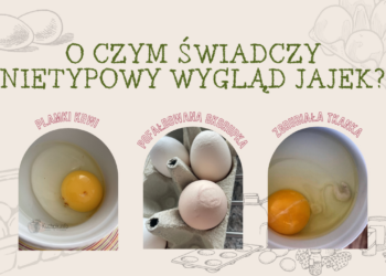 O czym świadczy nietypowy wygląd jajek?